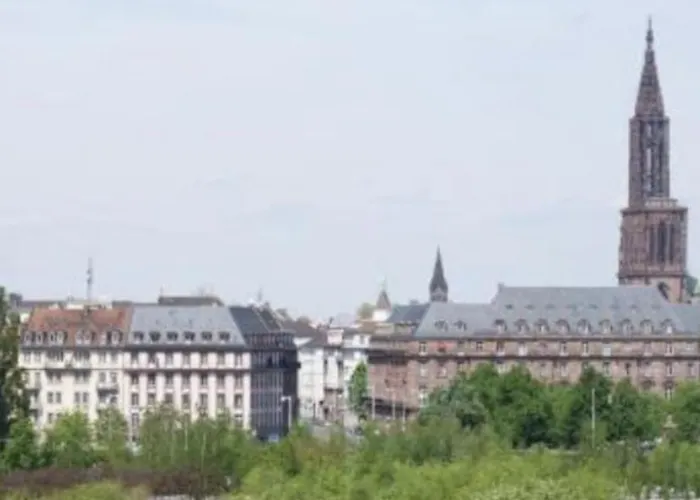 Le Carre Des Oiseaux