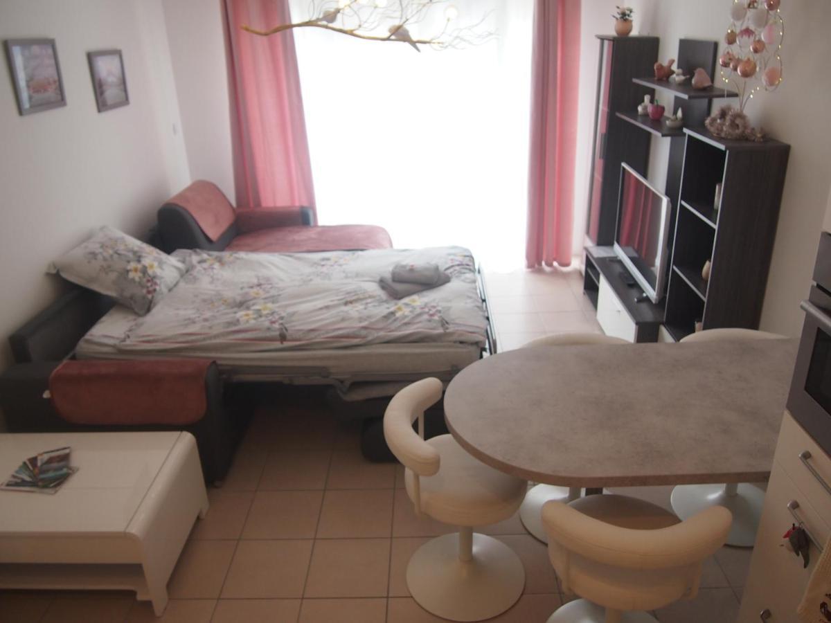 Le Carre Des Oiseaux Apartment Strasbourg